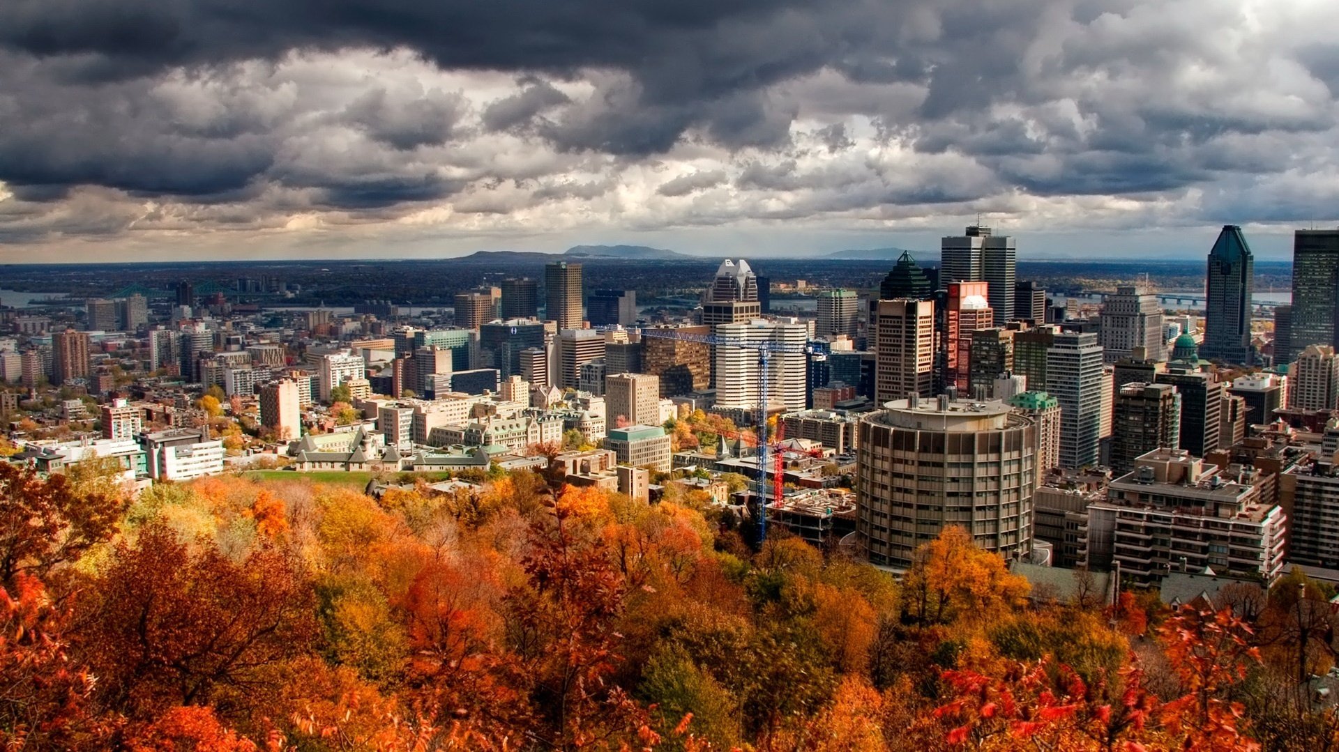 rotgelbes laub laub stadt laubfall goldene zeit sommer gelbe blätter herbstfarben wolken häuser himmel metropole schlechtes wetter