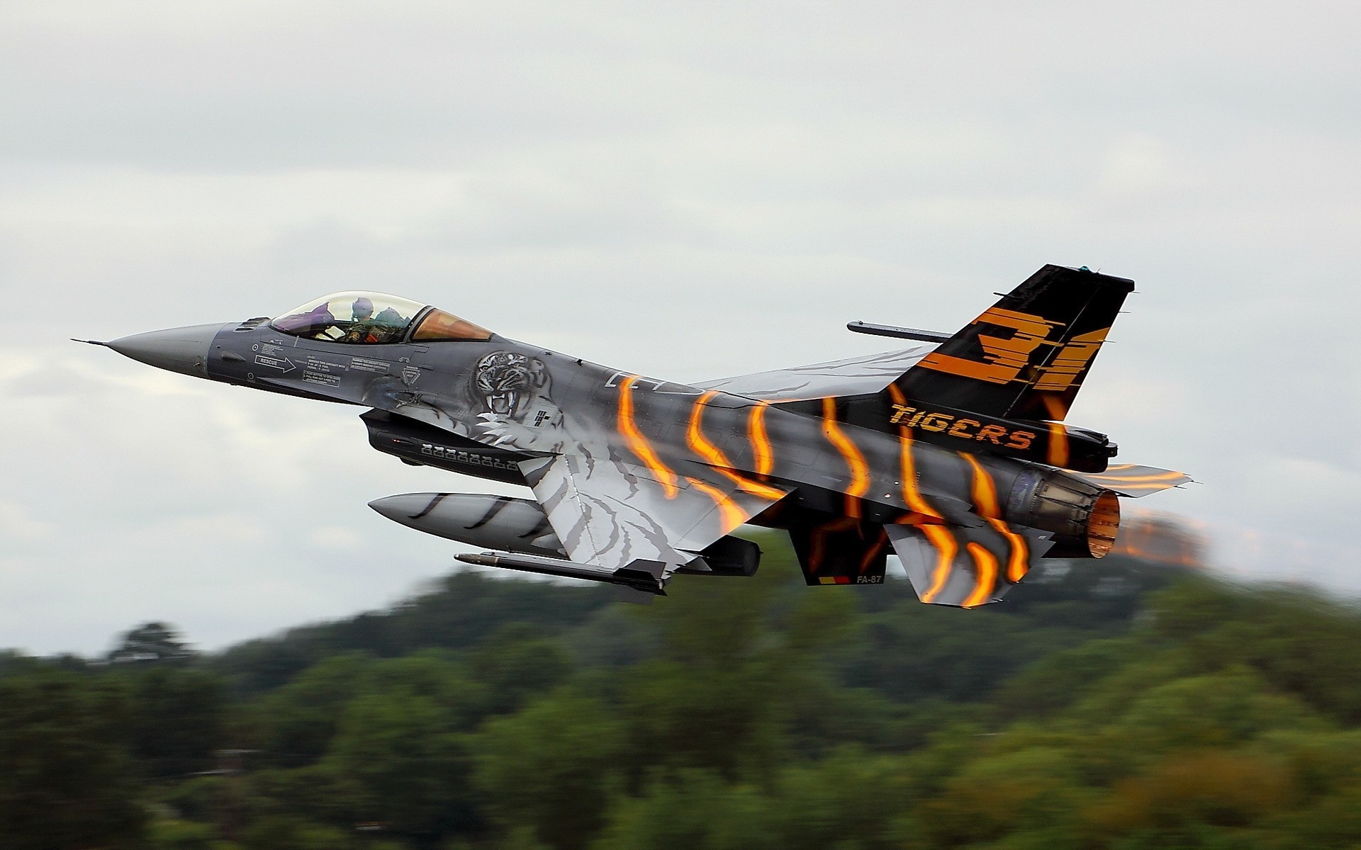 f16 avión armas