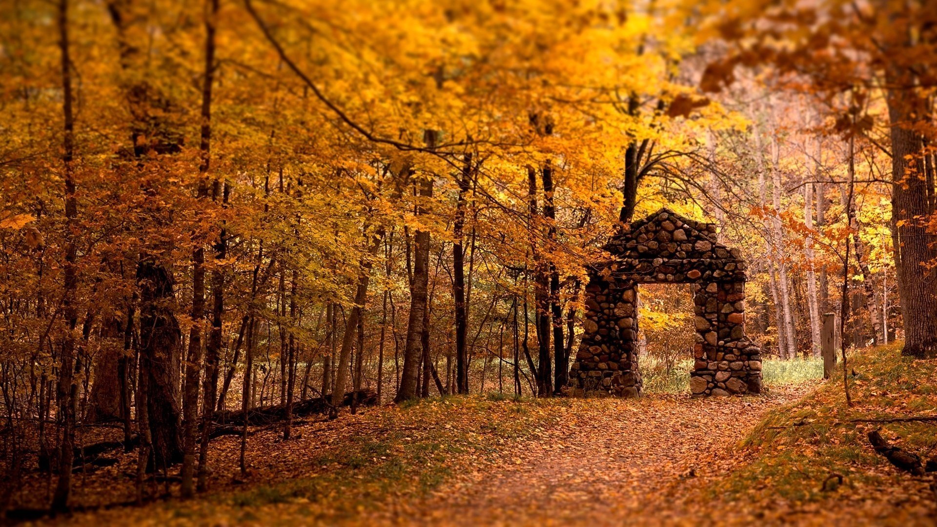 arche de pierre feuillage sur terre automne forêt chute des feuilles âge d or été indien feuilles jaunes