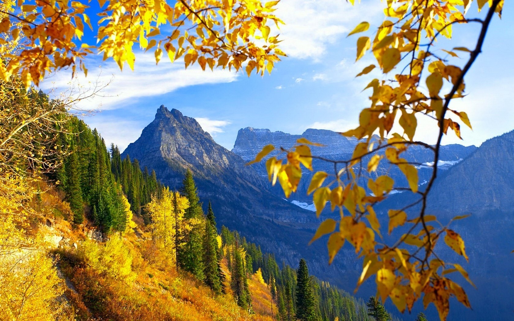 hojas amarillas montañas bosque ramas otoño paisaje naturaleza especie caída de hojas época dorada verano indio hojas amarillas abeto cielo rocas hojas calor nieve