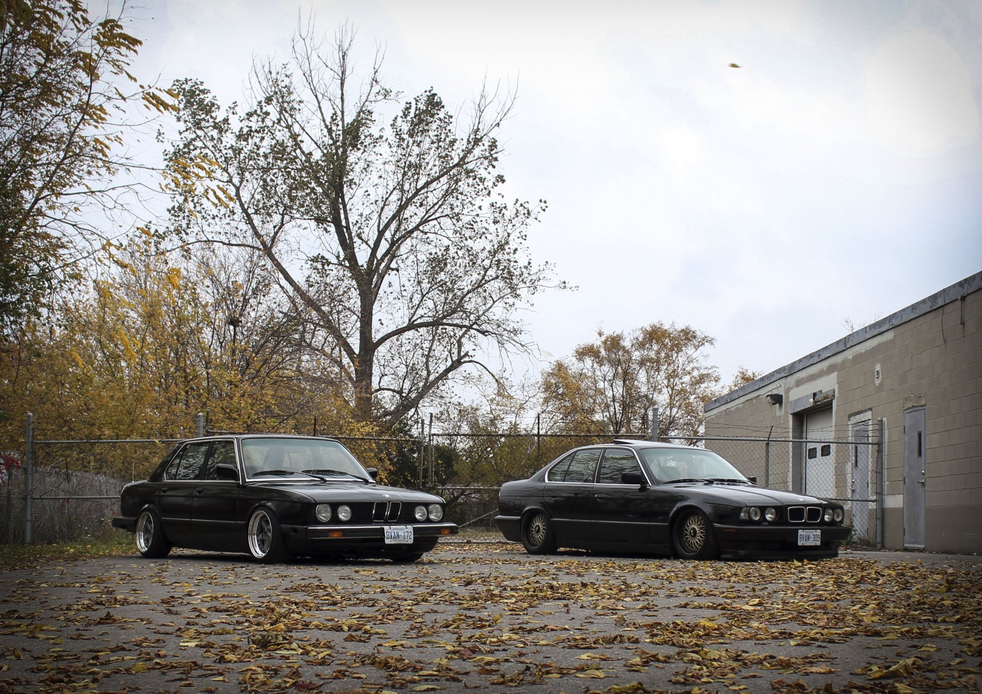 bmw e28 e34 pozycja tuning felgi bmw klasyka jesień liście