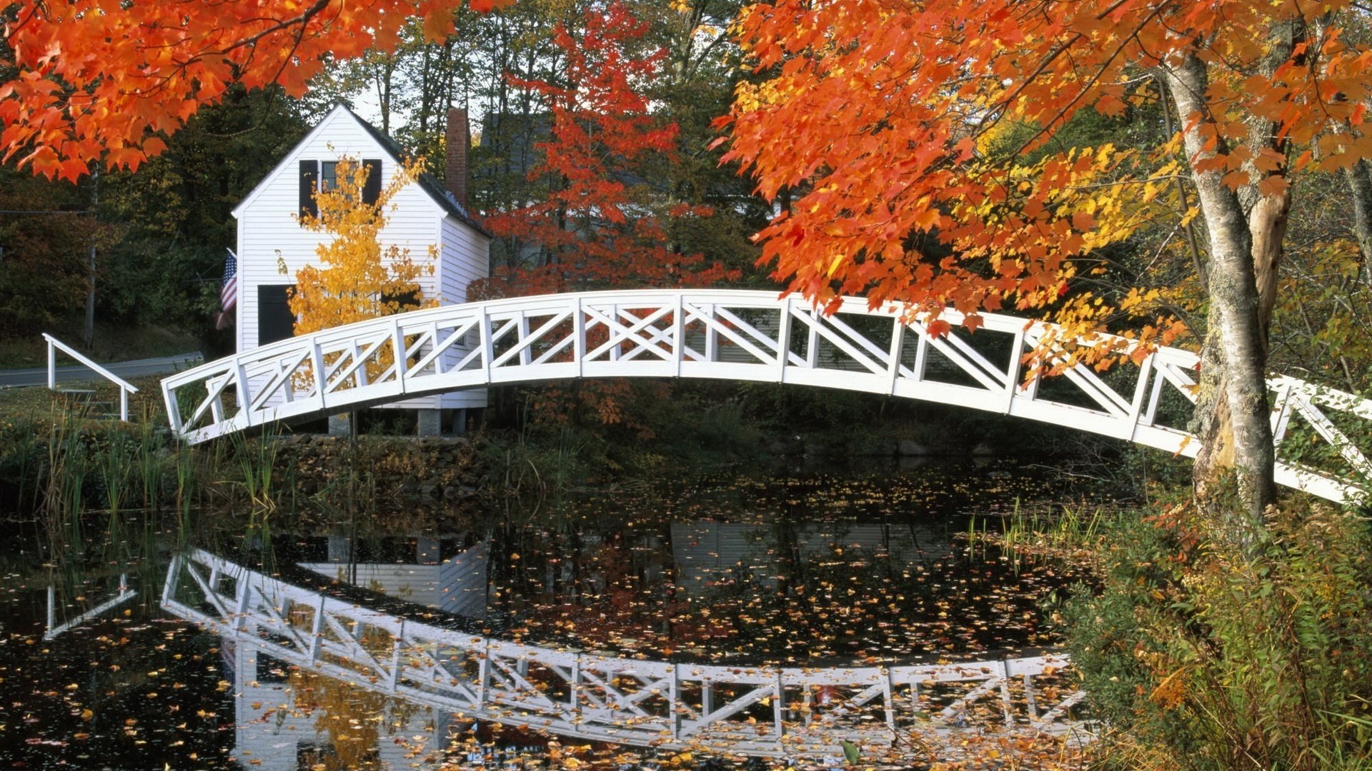 puente blanco casa agua hojas rojas bosque caída de hojas época dorada verano indio hojas amarillas colores de otoño