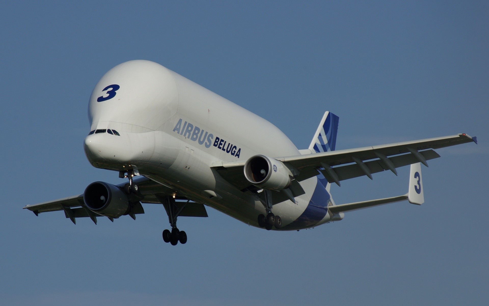 aereo airbus beluga