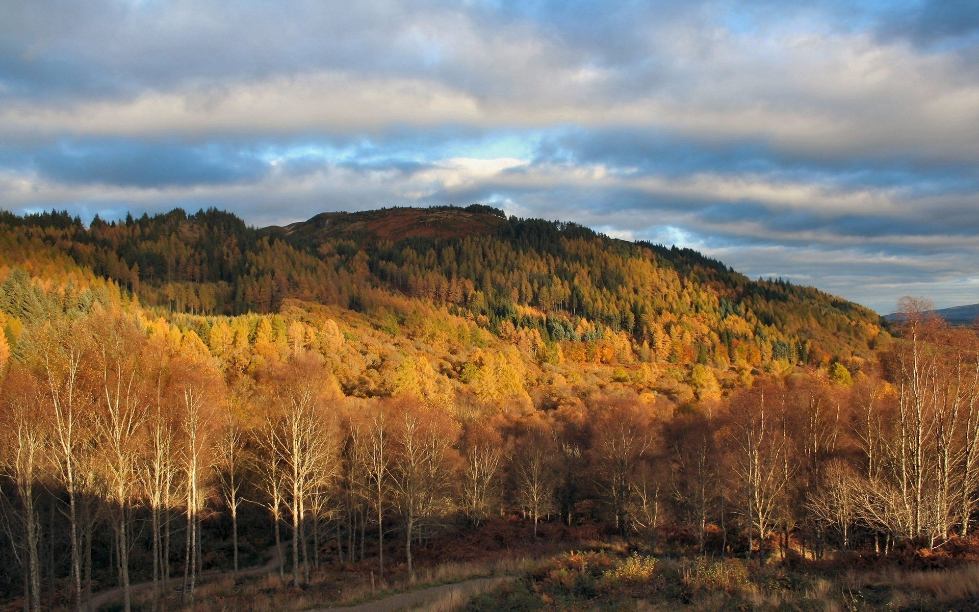 flowering trees mountains autumn forest leaf fall golden time indian summer yellow leaves sky clouds clouds autumn forest leaves serenity