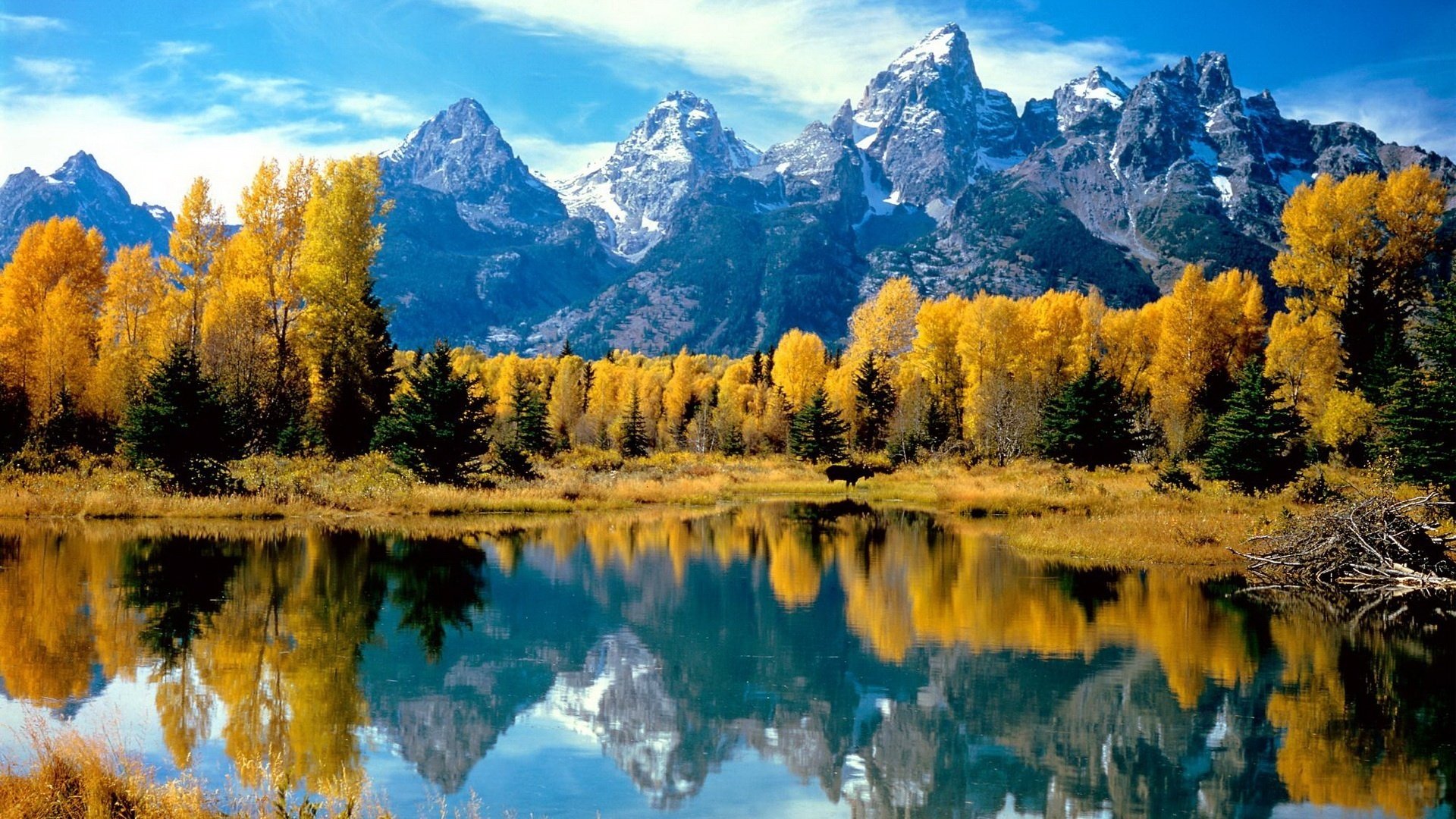 lake mountains cool yellow foliage forest water falling leaves golden time indian summer yellow leaves the colors of autumn reflection