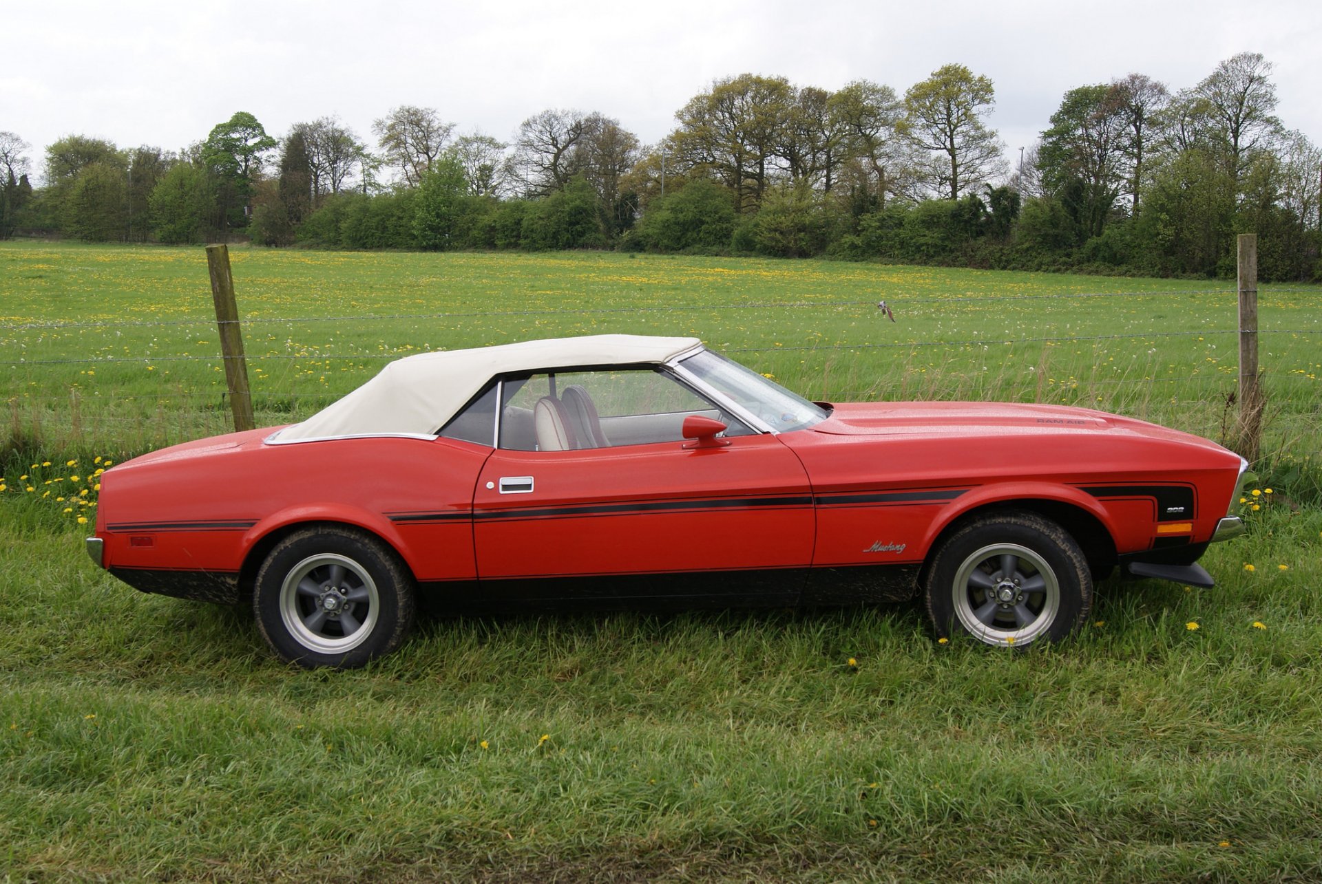 ford mustang 1973 muscle car classic nature