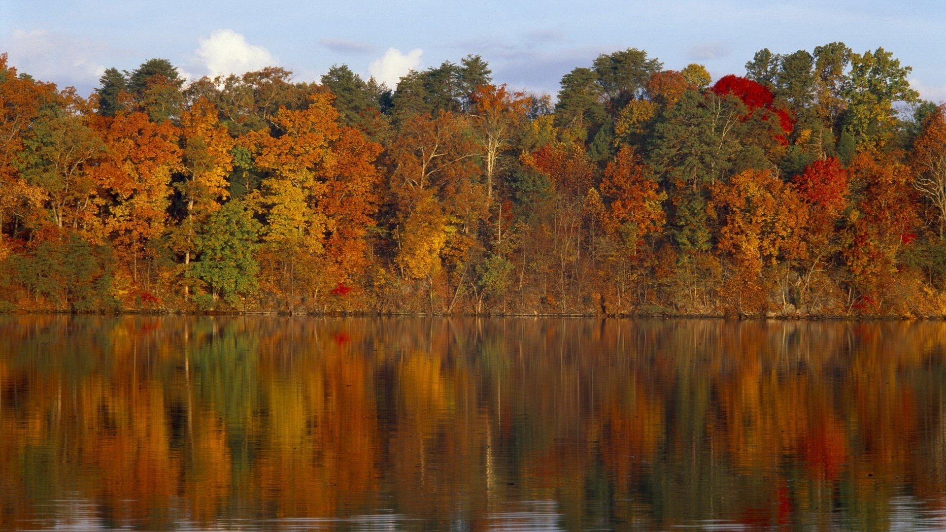 lago reflexión follaje multicolor bosque agua caída de hojas época dorada verano indio hojas amarillas colores de otoño