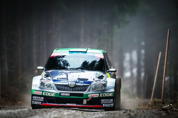 Rally in the forest by skoda car