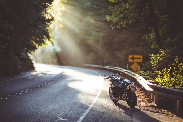 Motorrad im Schatten auf der Straße inmitten eines von der Sonne beleuchteten Waldes