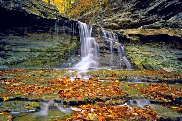 Belle cascade tombant dans les feuilles d automne