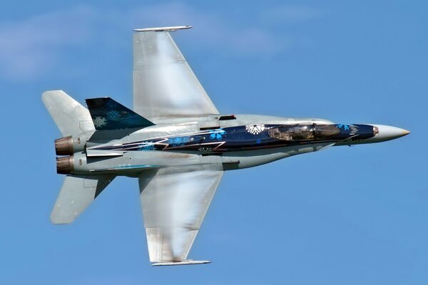 Aereo. Cf -18 hornet. Cielo. Aviazione