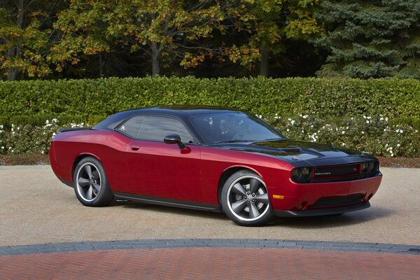 Diseño dodge challenger armonía de la máquina y la naturaleza