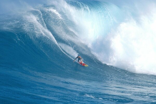 Surf en el océano. En la destilación con la ola