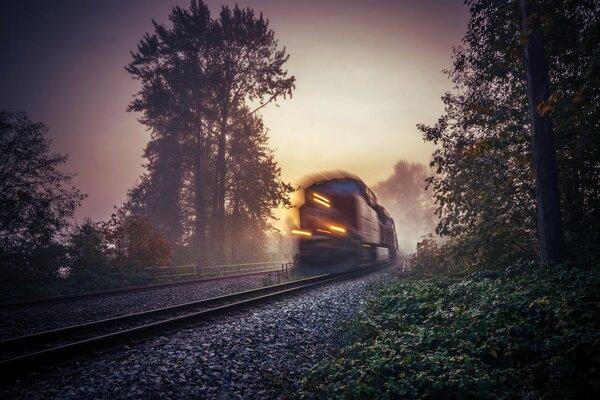 Pasando por la niebla de la mañana