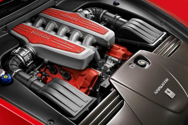 Twelve-cylinder Ferrari engine under the hood