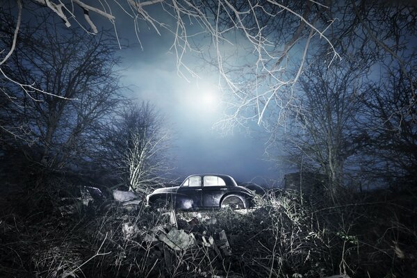 A small blue car in a dark forest