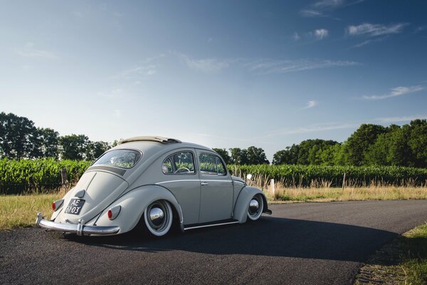 Volkswagen beetle with sunroof