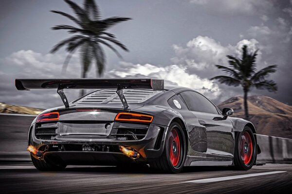 Black Audi Sports Car Rear View