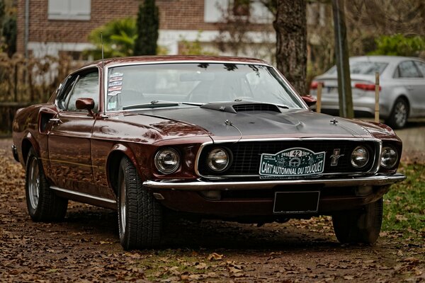 Brown chic mustang on the background of the house