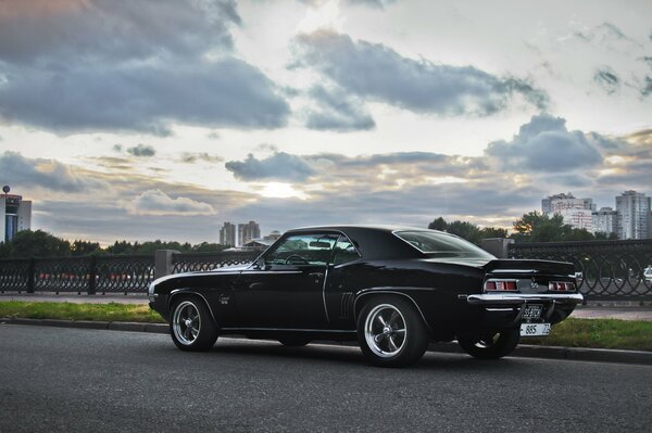 Black Camaro on the background of the city