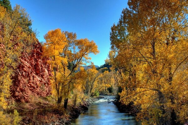 Blue sky and yellow, red leaves