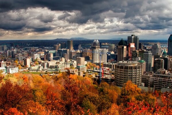 A city against a dark sky and red and yellow foliage