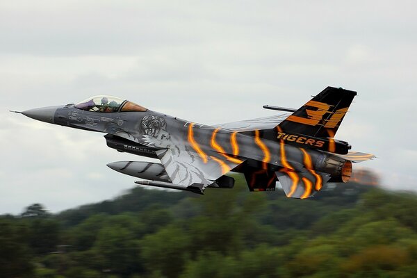 Das Flugzeug f-16 ist ein unvergleichlicher Tiger am Himmel