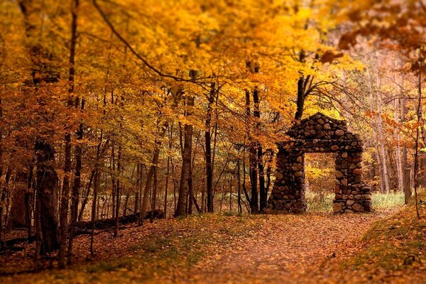 Arco de piedra en el bosque dorado de otoño