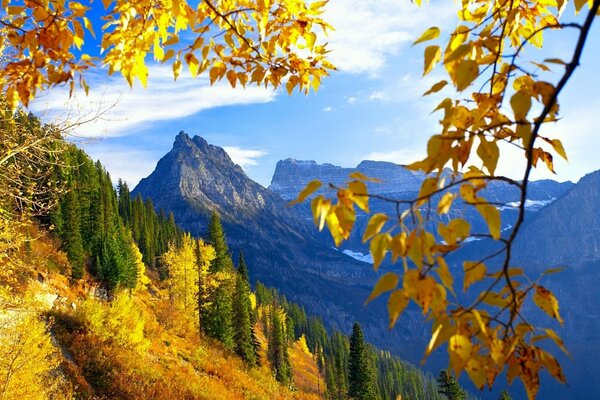 Mountains, forest and the wonderful wonders of autumn
