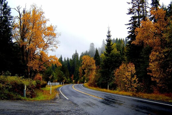 Regnerische Straße im Herbst