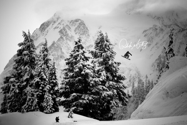 Snowboarder dans les montagnes d hiver parmi les arbres de Noël