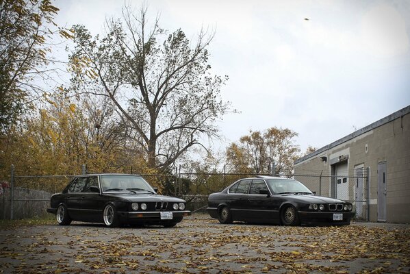 Deux BMW classiques sur fond de chute des feuilles d automne