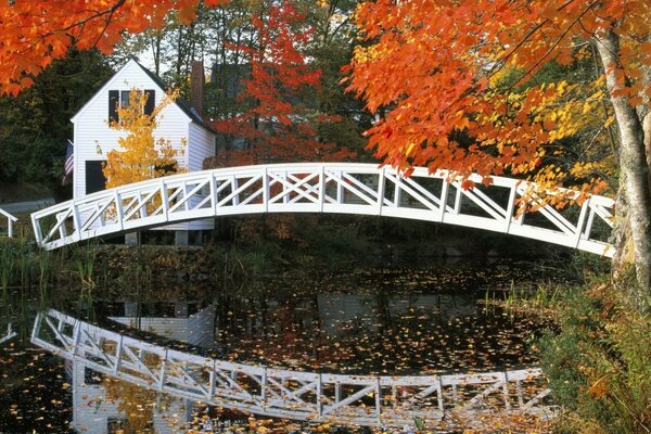 Puente blanco sobre el agua en otoño