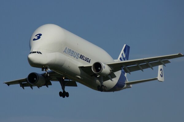 Das Flugzeug von Beluch schwimmt in den Himmel