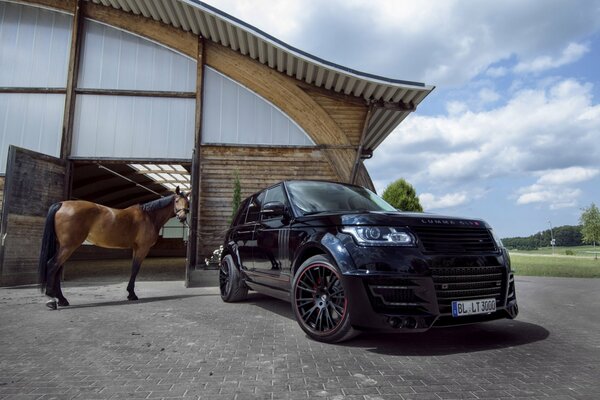 Black range rover with a horse