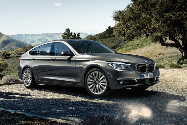 BMW 535I car on the background of nature