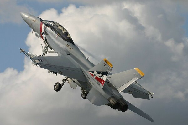 Combat aircraft fighter Boeing f18e in the sky