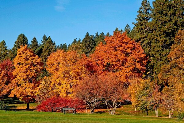 Bellissimo parco. Di uscita. Pacificazione