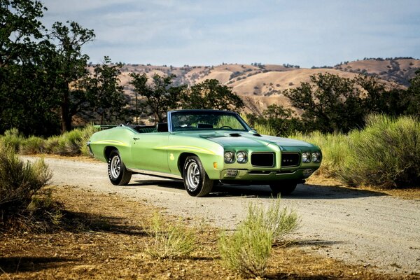 Cabriolet Pontiac di colore verde pallido in piedi sulla strada contro alberi e colline
