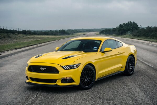 Gelber Mustang auf der Straße vor grauem Himmelshintergrund