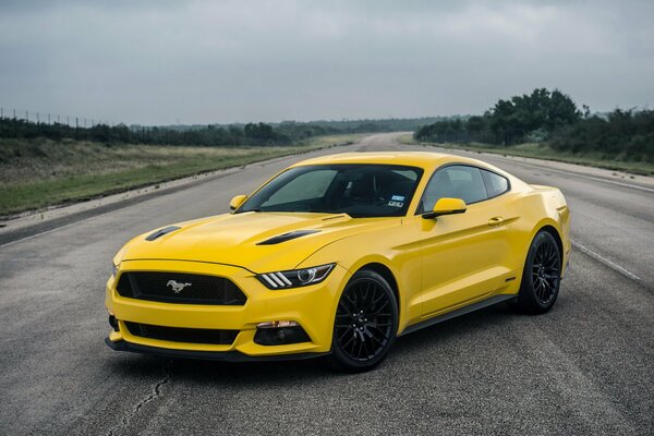 Mustang giallo sulla strada contro il cielo grigio