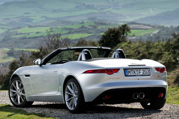 Voiture de sport de la firme Jaguar vue arrière