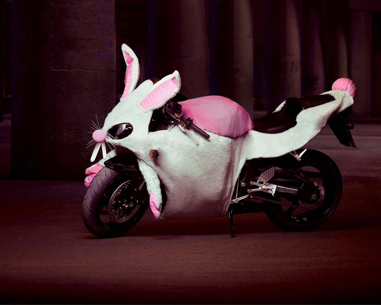 costume moto lapin humour