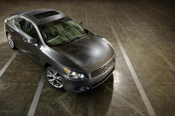 Black car in the parking lot, top view