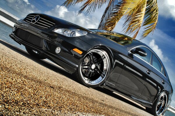 Black Mercedes car on a palm tree background