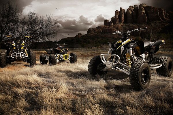 Quads en el fondo de las rocas. Ambiente oscuro