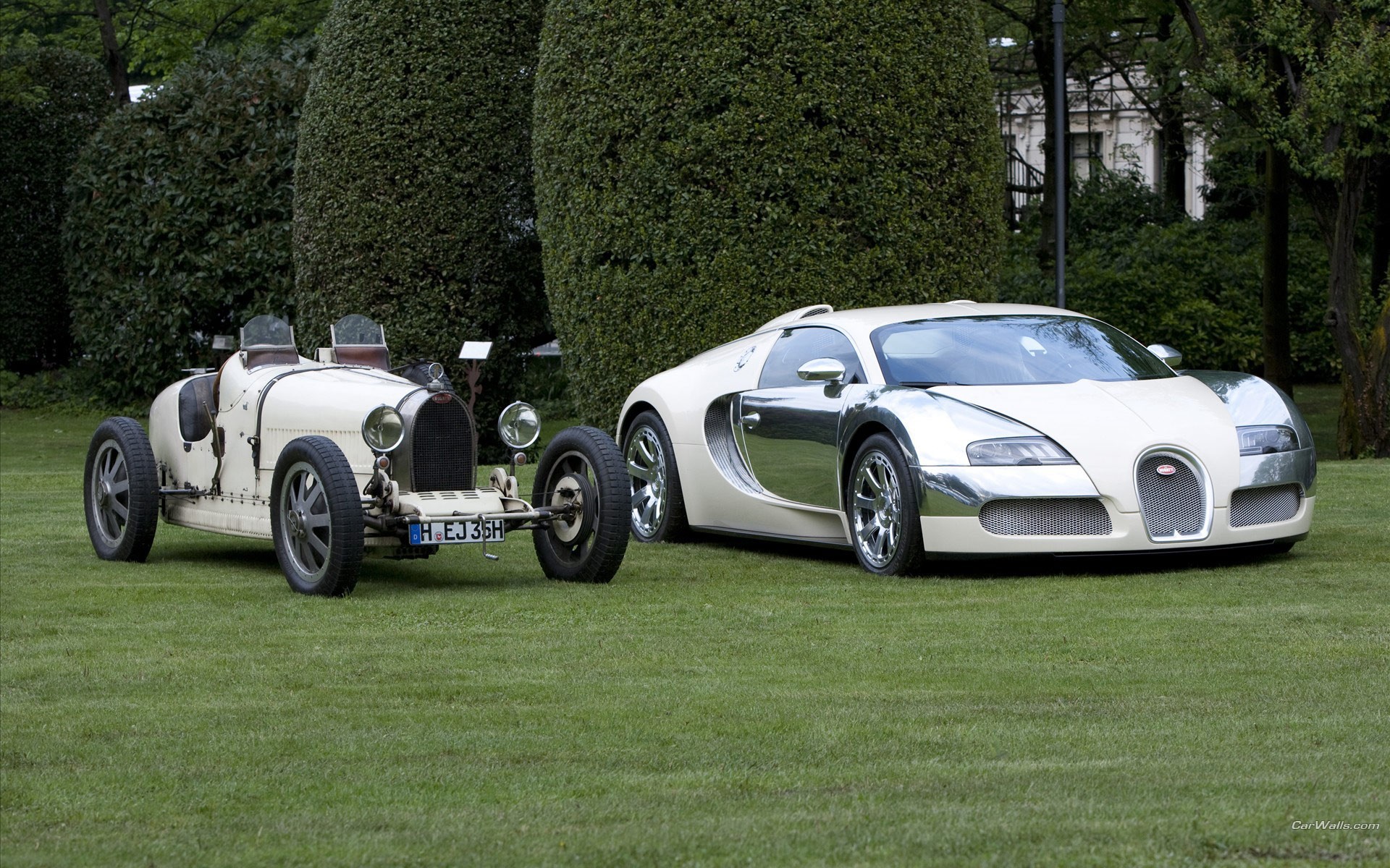 bugatti veyron blanc