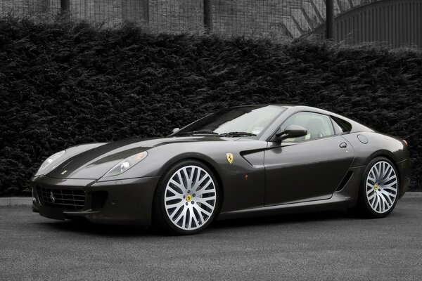 Black and white photo of a Ferrari car