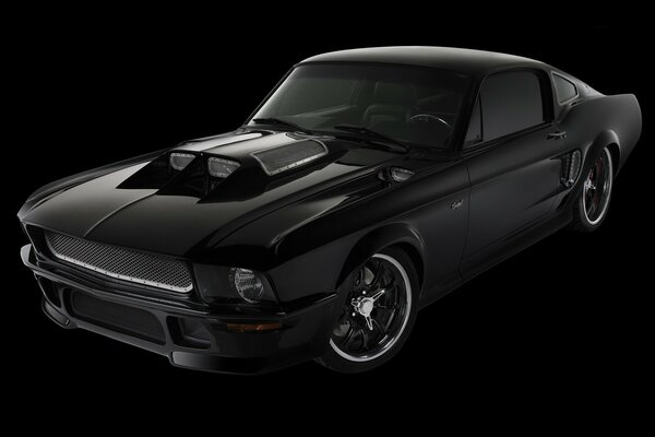 Schwarzer Mustang auf einem sehr dunklen Hintergrund 