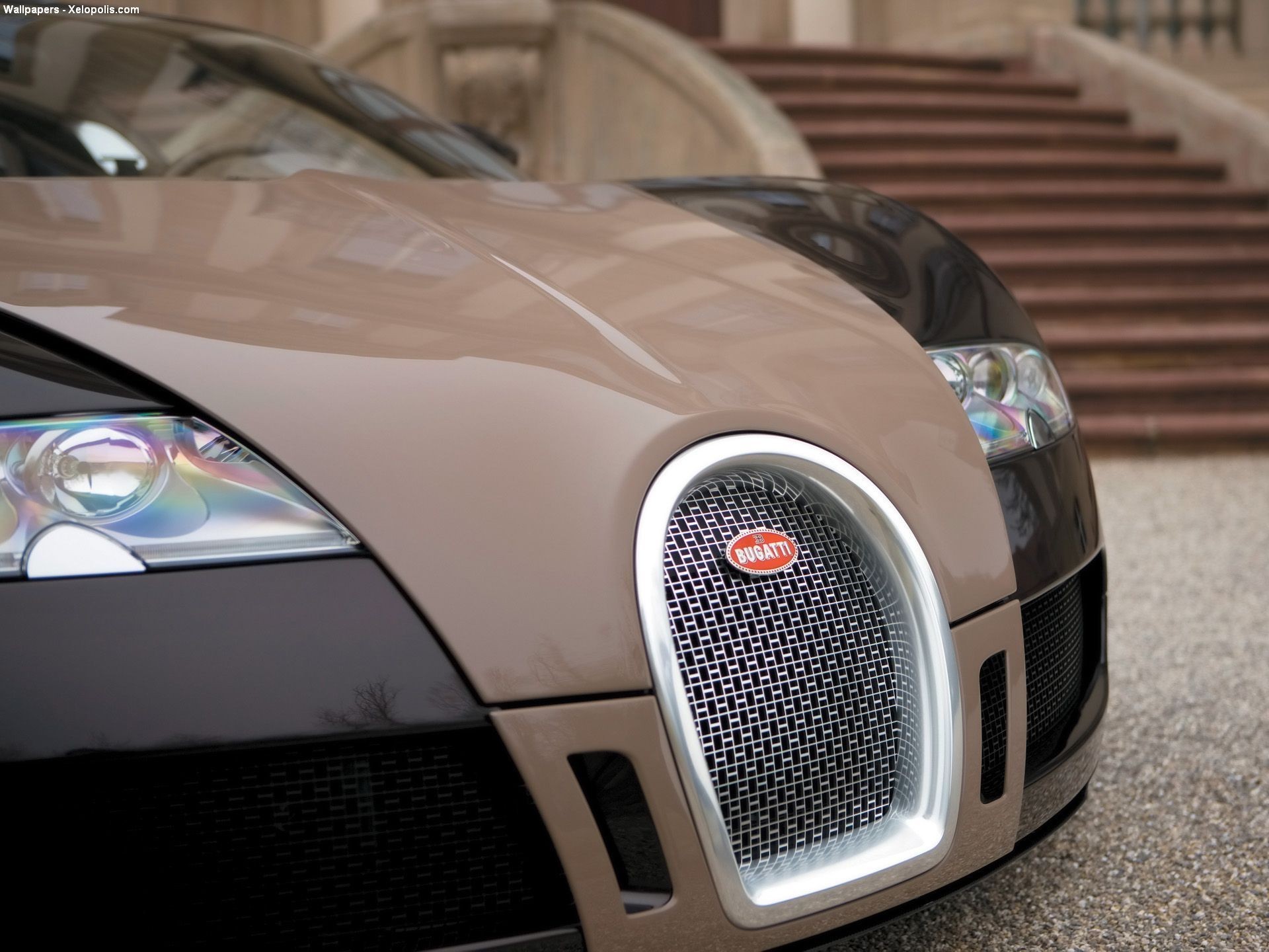 bugatti veyron gitter